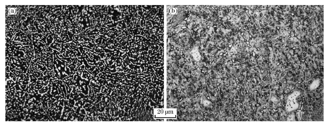 圖5 高溫軸承鋼CSS-42L滲碳層的組織 Fig.5 Microstructures of high temperature bearing steel CSS-42L