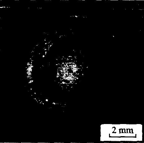 圖7 典型的試樣剝落形貌 Fig.7 Representative morphology of the sample flaking
